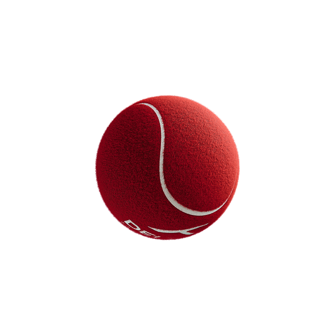 Hundred Delta 6 Heavy Cricket Tennis Balls (Pack of 6/Red)